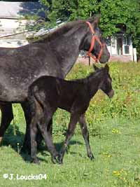 Meg and mom