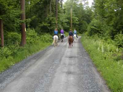 Down a Pa Forest road