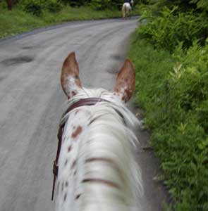 trailing behind