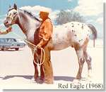 Red Eagle