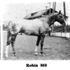RobinF868