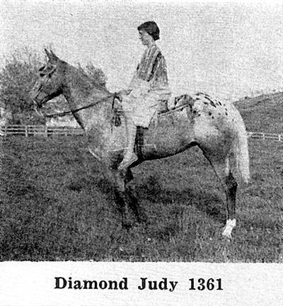 diamondjudyf1361