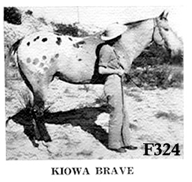 kiowabravef324