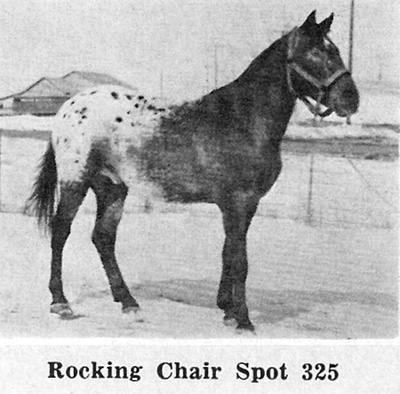 rockingchairspotf325