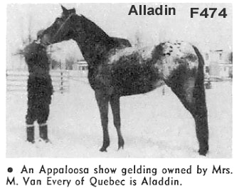 alladinf474