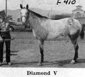 diamondvf410a