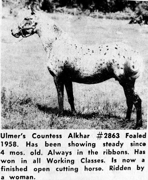 ulmers countess alkhar