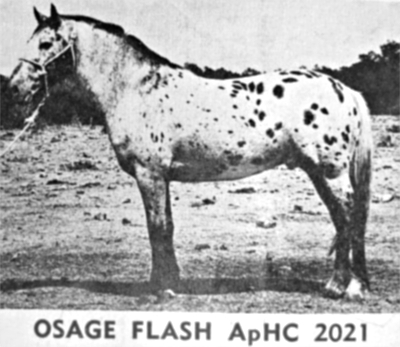 Osage Flash