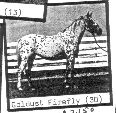 goldustfirefly1487
