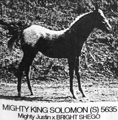 mighty king solomon