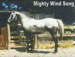 mightywindsong2