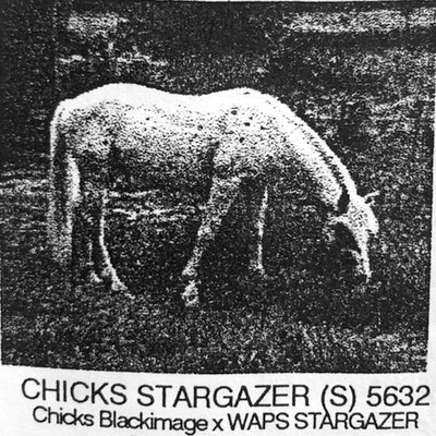 chicks stargazer