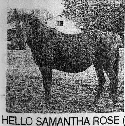 hello samantha rose