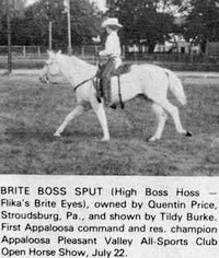 brite boss sput
