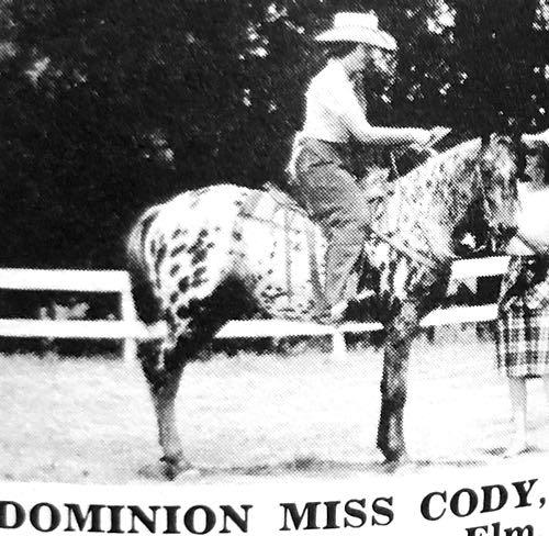 dominion miss cody