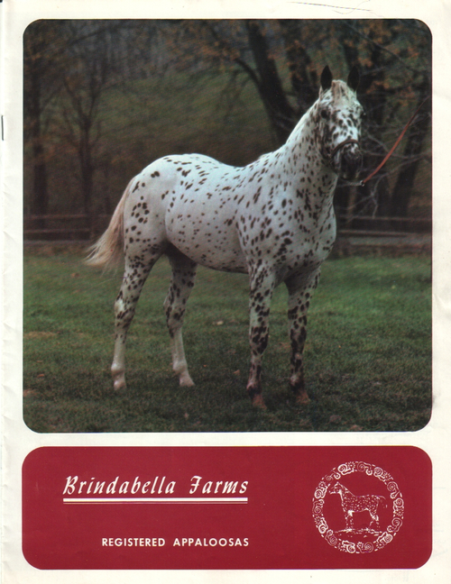 brindabella71a