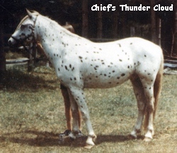 ChiefsThunderCloud