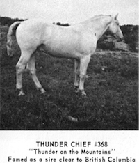 Thunder Chief