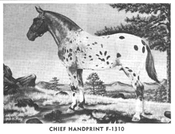 chiefhandprintptg