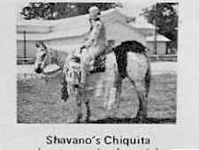 shavanoschiquita