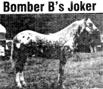 Bomber's Joker