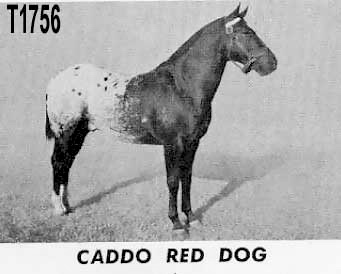 caddoreddogt1756a