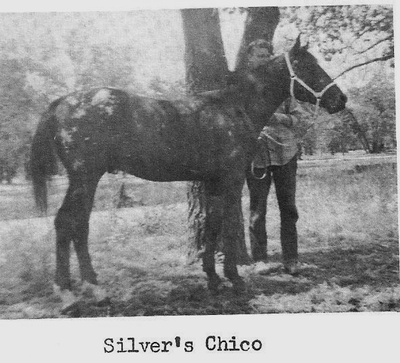 silverschico1849