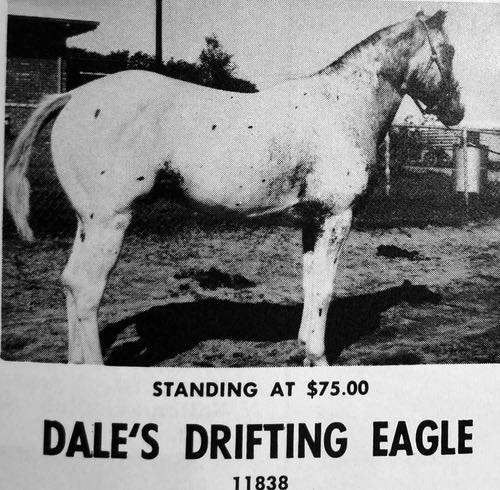 dale's drifting eagle