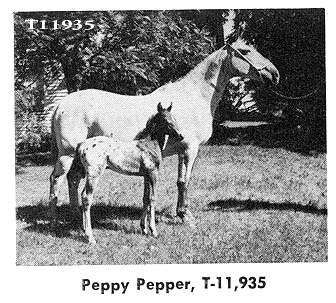 peppypepper