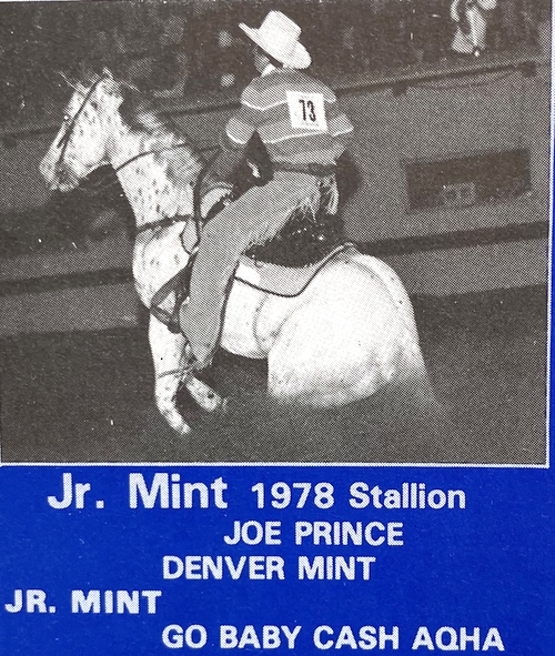 jr mint
