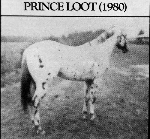 prince loot