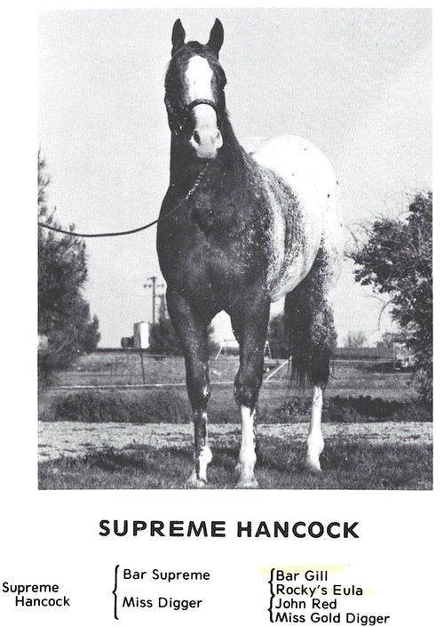 supremehancock