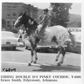 doubledspinkycochise6808