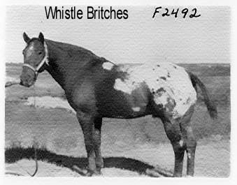 WhistleBritches8
