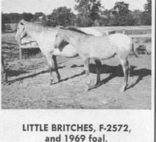 littlebritches