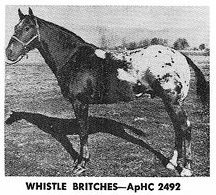 whistlebritches