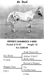 Shamrock ad