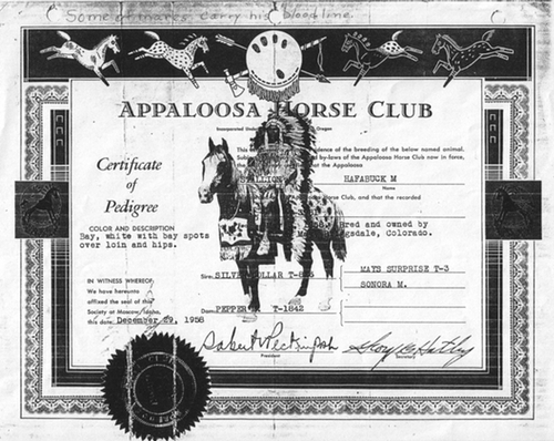 Appaloosa Horse Club