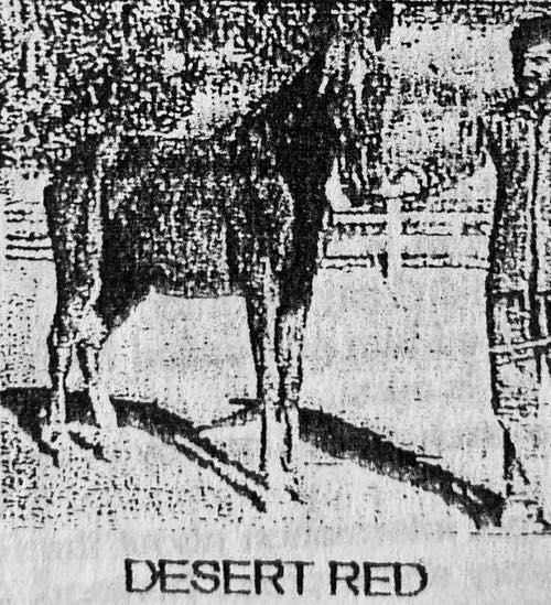 desert red