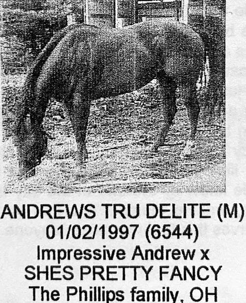 andrews tru delite