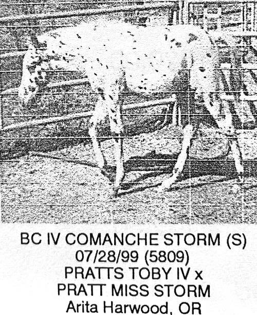 bc iv comanche storm2