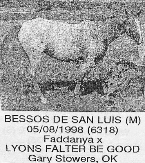 bessos de san luis