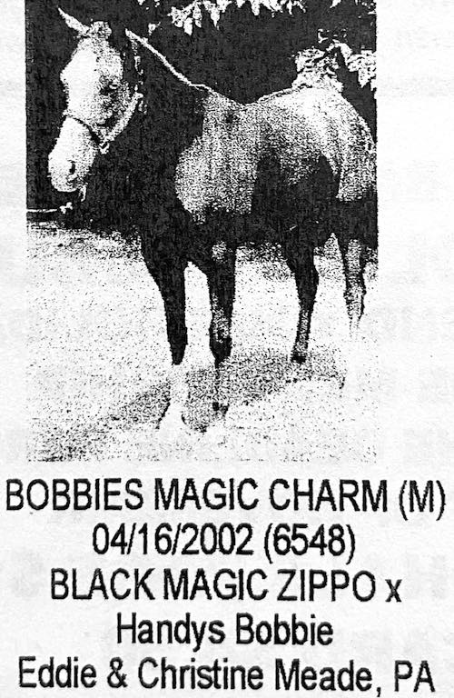 bobbies magic charm