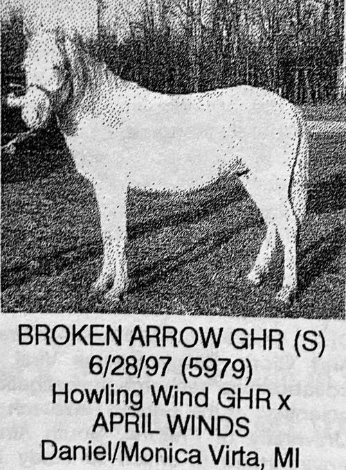 brooken arrow ghr