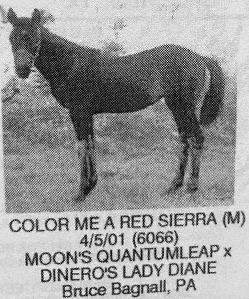 color me a red sierra