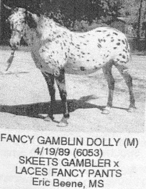 fancy gamblin dolly 2