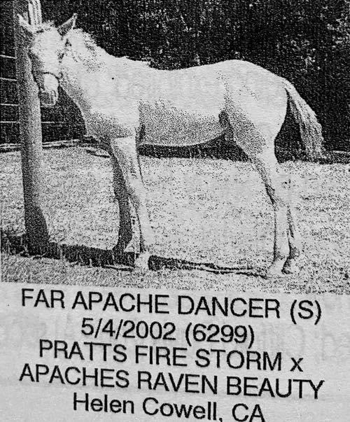 far apache dancer