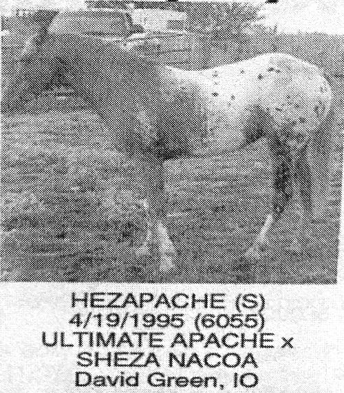 hezapache