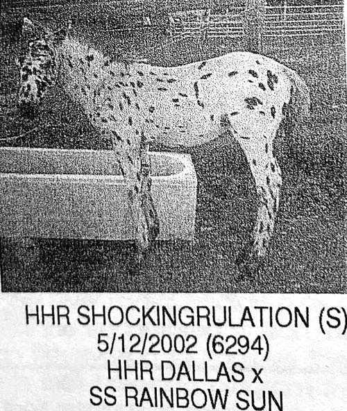 hhr shockingrulation