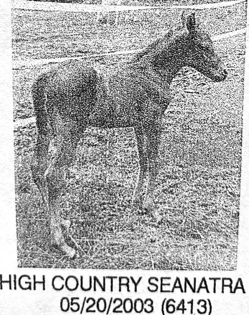 high country seanatra